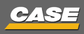 case